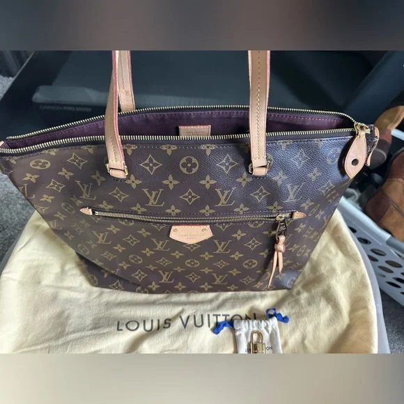 Louis Vuittton Iena MM - Picture 1 of 6